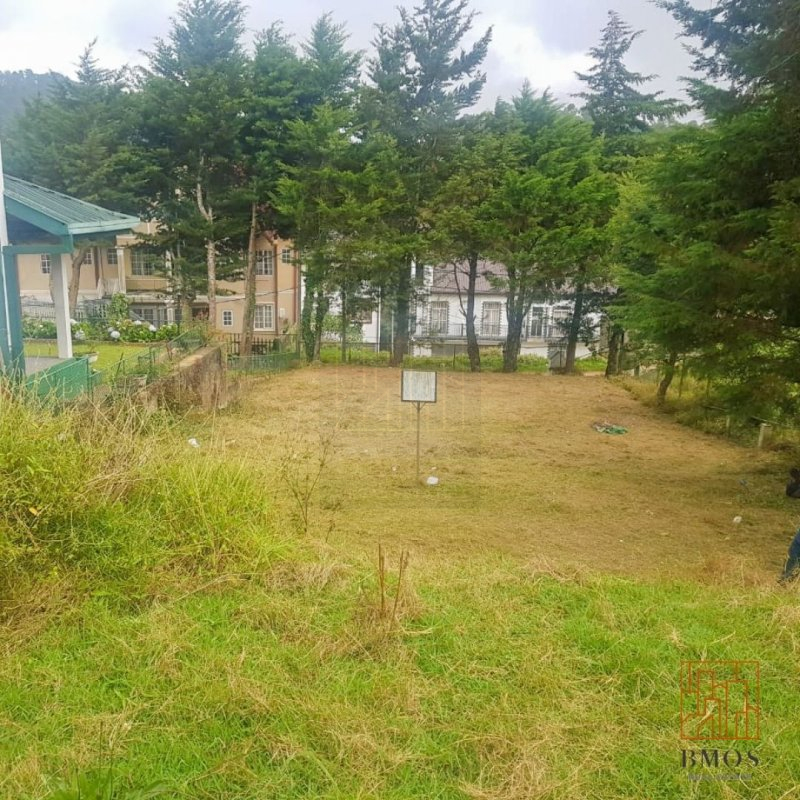 UPCOUNTRY RESIDENTIAL LAND FOR SALE IN KATUMANA, NUWARA ELIYA
