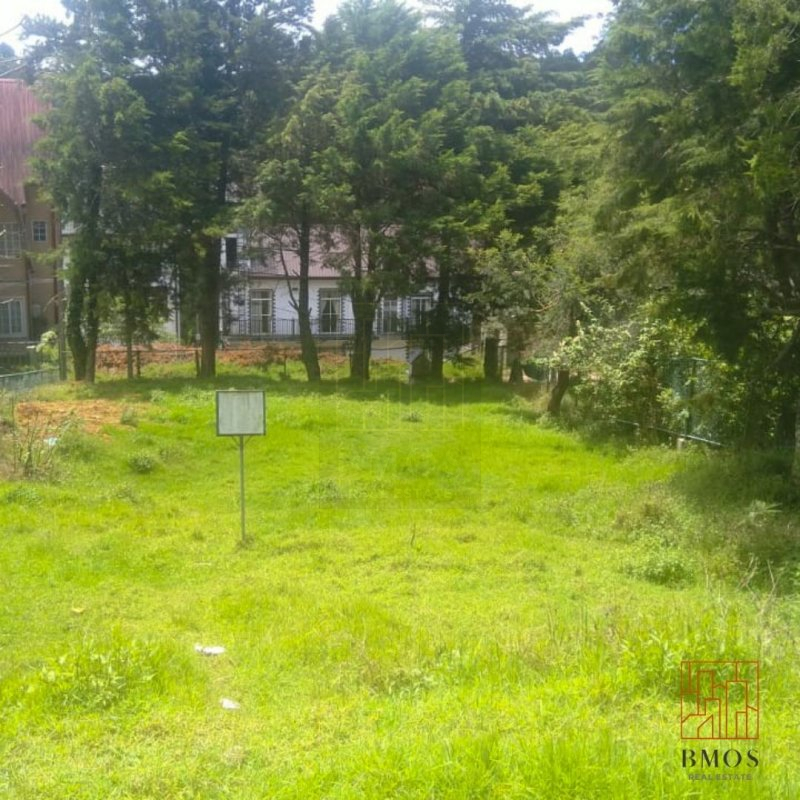 UPCOUNTRY RESIDENTIAL LAND FOR SALE IN KATUMANA, NUWARA ELIYA